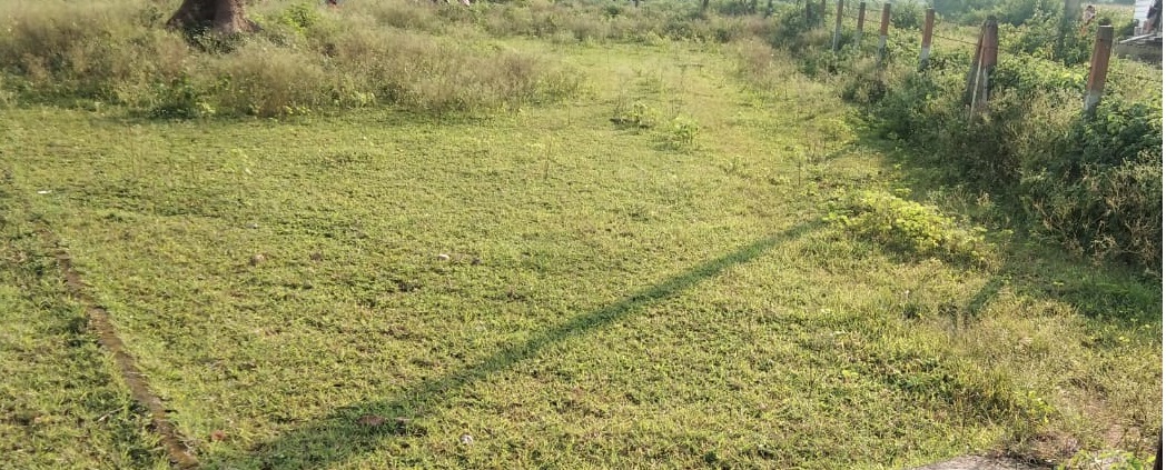 Residential land / Plot in Sarra Chhindwara 